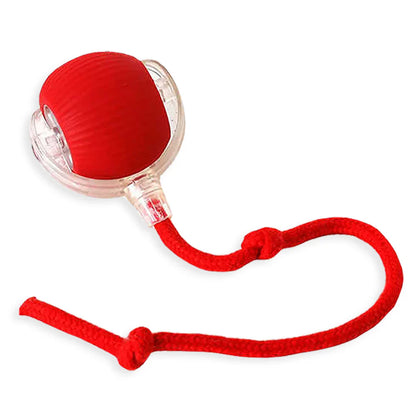 JAGA - Interaktiv leksaksboll