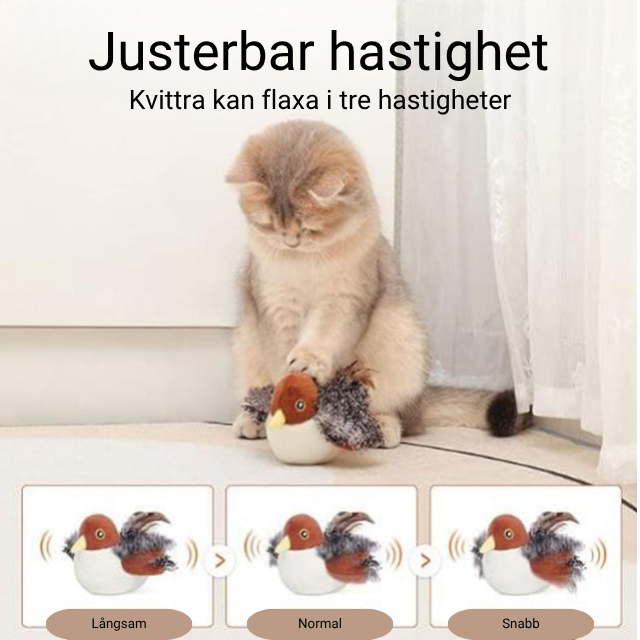KVITTRA - Interaktiv fågel för katt