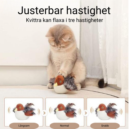 KVITTRA - Interaktiv fågel för katt