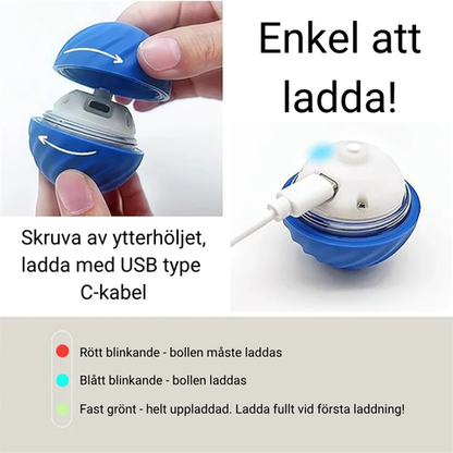 RULLA - Interaktiv boll för hundar