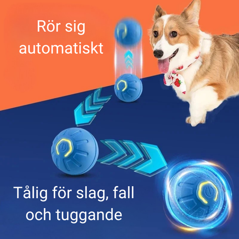 RULLA - Interaktiv boll för hundar
