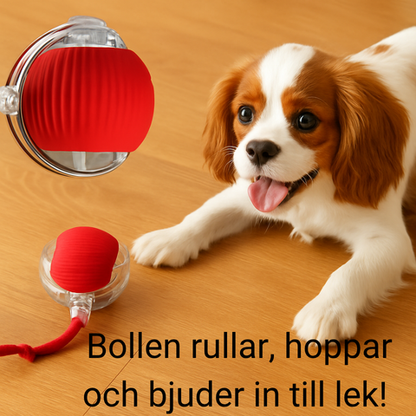 JAGA - Interaktiv leksaksboll