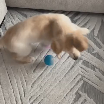 RULLA - Interaktiv boll för hundar